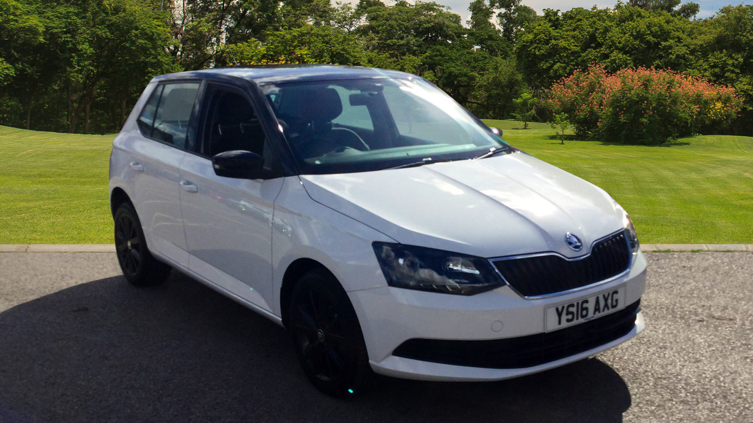 Buy Online SKODA Fabia 1.2 TSI Colour Edition 5dr Petrol Hatchback For ...